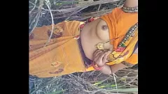 تشغيل الهندية راجاستان منتديات قرية Bhabhi في الهواء الطلق الذهبي دش الإباحية